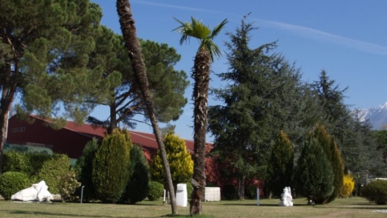 Esposizione “Pietra e Acqua”